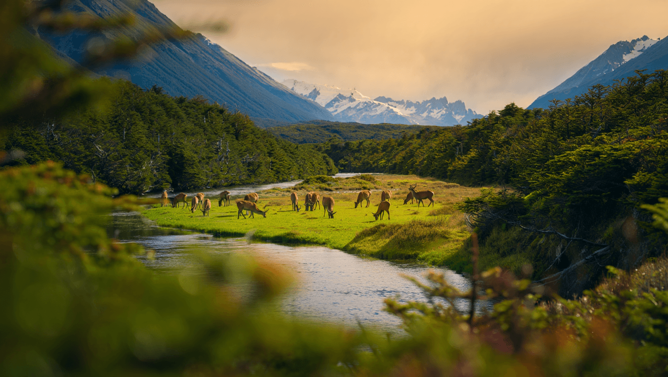 Conservacionismo y Responsabilidad Ambiental